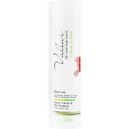 Шампунь для волос "Volume & Shine" (350 г) (10325183)