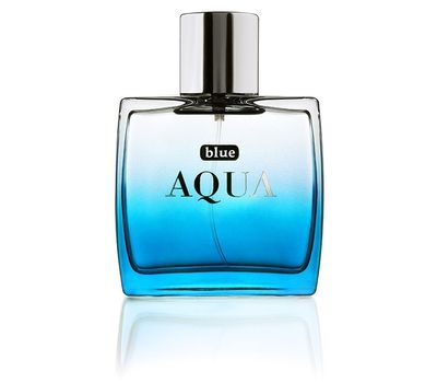 Туалетная вода для мужчин "Blue Aqua" (100 мл) (10482181)
